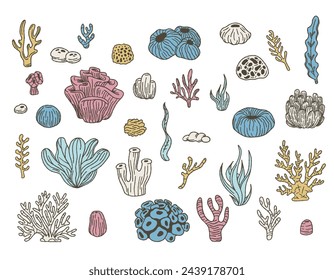 Coral set. Ocean plants, underwater flora, seaweed.  vector set