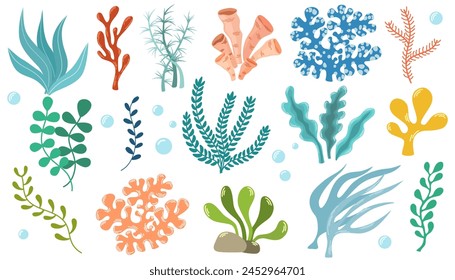 Coral set. Ocean plants, underwater flora, seaweed. Aquatic plant, algae, tropical seabed elements vector set