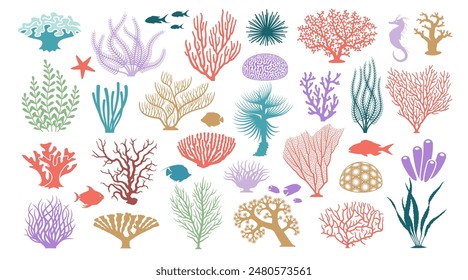 Coral set. Ocean plants, underwater flora, seaweed. Aquatic plant, algae, tropical seabed elements vector set