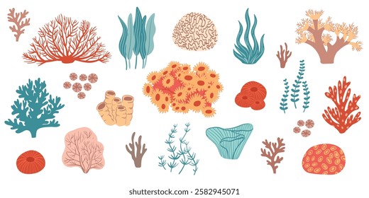 Coral set. Ocean plants, underwater flora, seaweed. Aquatic plant, algae, tropical seabed elements vector set