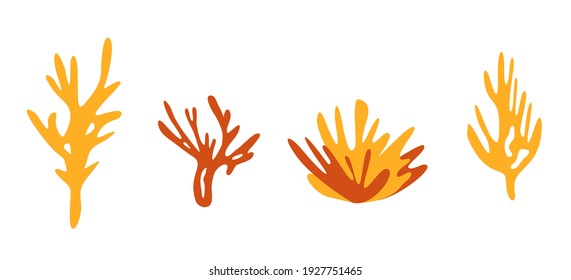 Coral set. Simple hand drawn sea element. Vector illustration