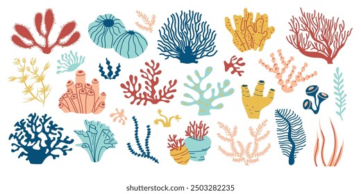 Coral set.  Underwater flora, ocean plants, seaweed. Bright sea elements isolated on white. Aquatic plant, algae, tropical seabed elements vector set. 