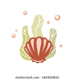 Coral shell with green seaweed and air bubbles. Color hand drawn illustration for card, stamp, sticker, print. Cartoon clipart. Outline vector silhouette drawing, white background