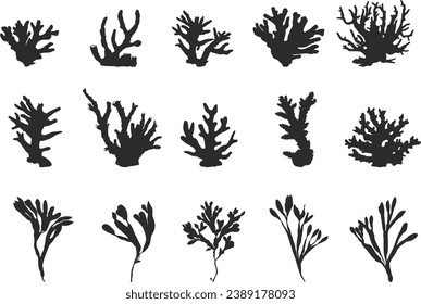 Coral silhouette, Sea corals silhouette, Seaweed silhouette, Coral clipart, coral vector illustration. 
  svg