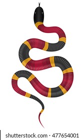 Coral snake vector illustration isolated on white. Tropical serpent EPS image