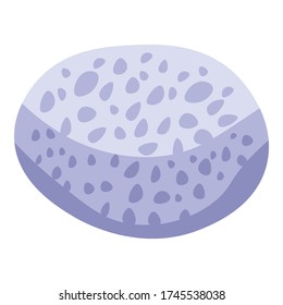 Coral stone icon. Isometric of coral stone vector icon for web design isolated on white background
