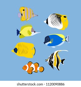 Coral tropic fish