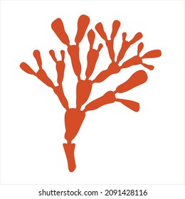 Coral twig of red color for the design of the seabed.