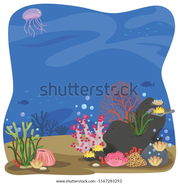 Coral Under Sea Background Stock Vector Royalty Free