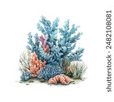 coral under the sea vector illustration in watercolor style