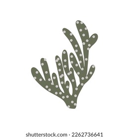 Coral. Underwater element. Vector illustration in scandinavian style. Sea ocean.