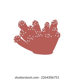 Coral. Underwater element. Vector illustration in scandinavian style. Sea ocean.