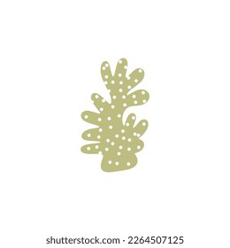 Coral. Underwater element. Vector illustration in scandinavian style. Sea ocean.