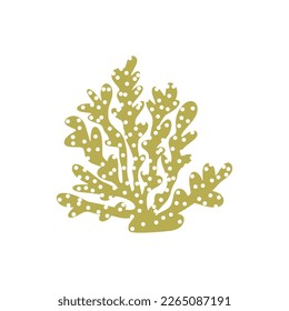 Coral. Underwater element. Vector illustration in scandinavian style. Sea ocean.