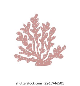 Coral. Underwater element. Vector illustration in scandinavian style. Sea ocean.