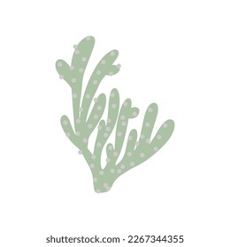 Coral. Underwater element. Vector illustration in scandinavian style. Sea ocean.