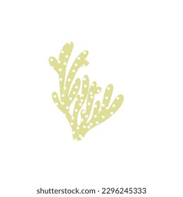 Coral. Underwater element. Vector illustration in scandinavian style. Sea ocean.