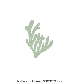 Coral. Underwater element. Vector illustration in scandinavian style. Sea ocean.