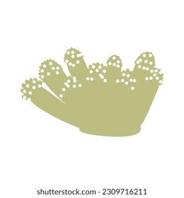 Coral. Underwater element. Vector illustration in scandinavian style. Sea ocean.