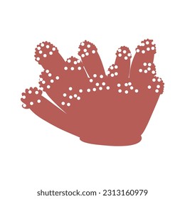 Coral. Underwater element. Vector illustration in scandinavian style. Sea ocean.