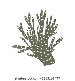 Coral. Underwater element. Vector illustration in scandinavian style. Sea ocean.