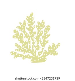 Coral. Underwater element. Vector illustration in scandinavian style. Sea ocean.