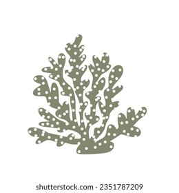 Coral. Underwater element. Vector illustration in scandinavian style. Sea ocean.