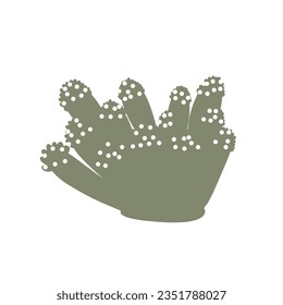 Coral. Underwater element. Vector illustration in scandinavian style. Sea ocean.