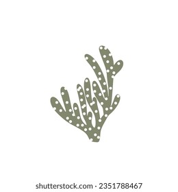 Coral. Underwater element. Vector illustration in scandinavian style. Sea ocean.