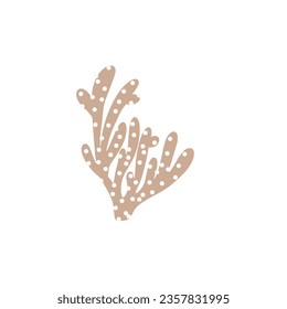 Coral. Underwater element. Vector illustration in scandinavian style. Sea ocean.