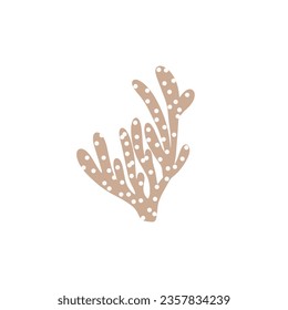 Coral. Underwater element. Vector illustration in scandinavian style. Sea ocean.