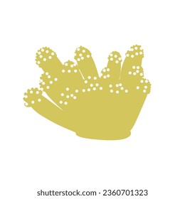 Coral. Underwater element. Vector illustration in scandinavian style. Sea ocean.