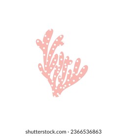 Coral. Underwater element. Vector illustration in scandinavian style. Sea ocean.