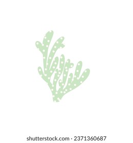 Coral. Underwater element. Vector illustration in scandinavian style. Sea ocean.