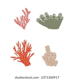 Coral. Underwater element. Vector illustration in scandinavian style. Sea ocean.