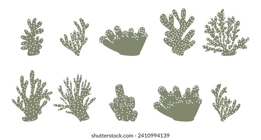 Coral. Underwater element. Vector illustration in scandinavian style. Sea ocean.