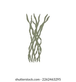 Coral. Underwater plant. Vector illustration in scandinavian style. Seaweed.
