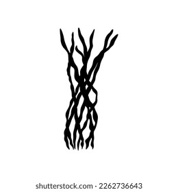 Coral. Underwater plant. Vector illustration in black color. Seaweed.