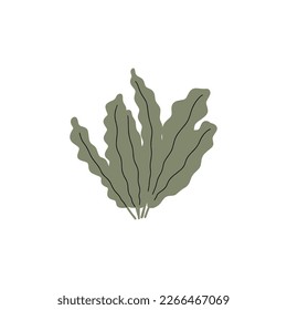 Coral. Underwater plant. Vector illustration in scandinavian style. Seaweed.