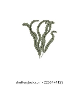 Coral. Underwater plant. Vector illustration in scandinavian style. Seaweed.