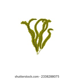 Coral. Underwater plant. Vector illustration in scandinavian style. Seaweed.