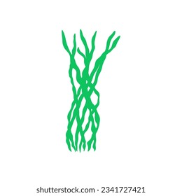 Coral. Underwater plant. Vector illustration in scandinavian style. Seaweed.