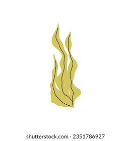 Coral. Underwater plant. Vector illustration in scandinavian style. Seaweed.