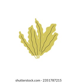 Coral. Underwater plant. Vector illustration in scandinavian style. Seaweed.