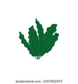 Coral. Underwater plant. Vector illustration in scandinavian style. Seaweed.