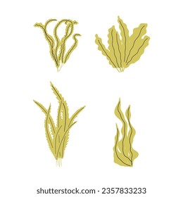 Coral. Underwater plant. Vector illustration in scandinavian style. Seaweed.