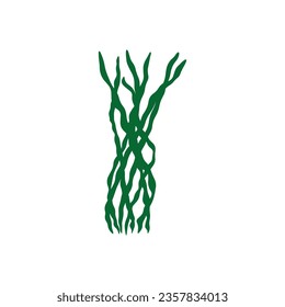 Coral. Underwater plant. Vector illustration in scandinavian style. Seaweed.