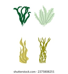 Coral. Underwater plant. Vector illustration in scandinavian style. Seaweed.