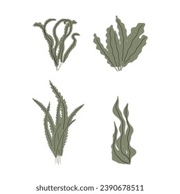 Coral. Underwater plant. Vector illustration in scandinavian style. Seaweed.