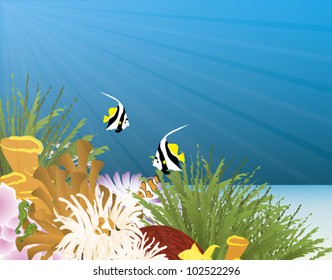 coral underwater scene